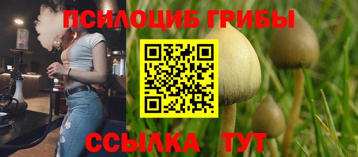 Электросталь  Псилоцибиновые грибы мухоморы  Вход с VPN  Галлюциногенные грибы мицелий 