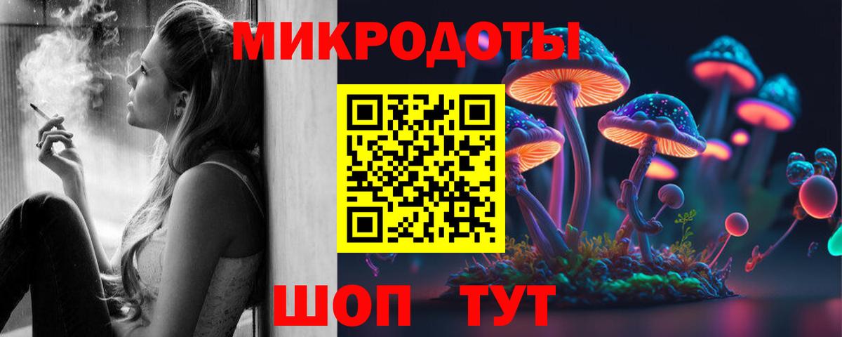 Псилоцибиновые грибы мицелий Электросталь